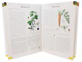Z prírodnej klenotnice O liečivých bylinkách, semenách, ovocných šťavách