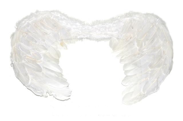 Krídla anjel perie