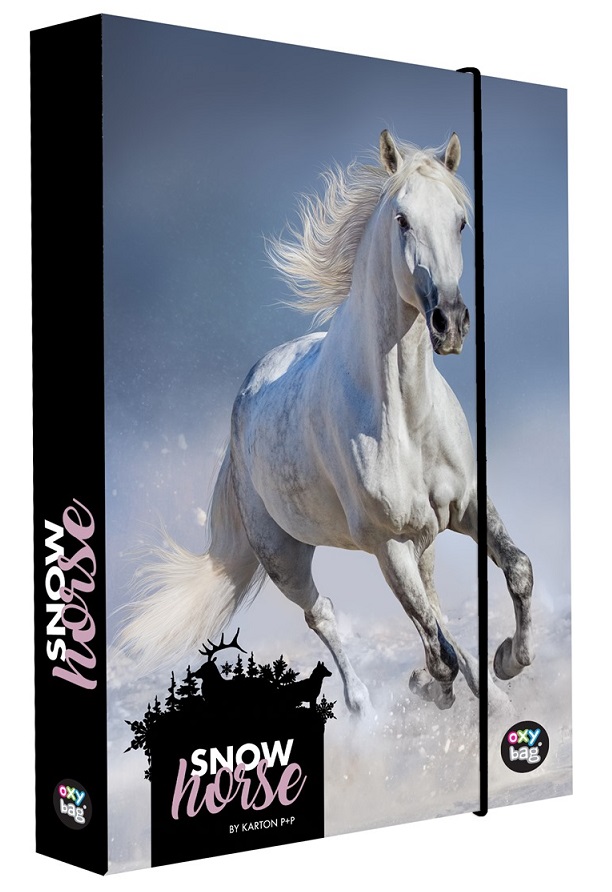 Box na zošity A4 Jumbo Snow horse