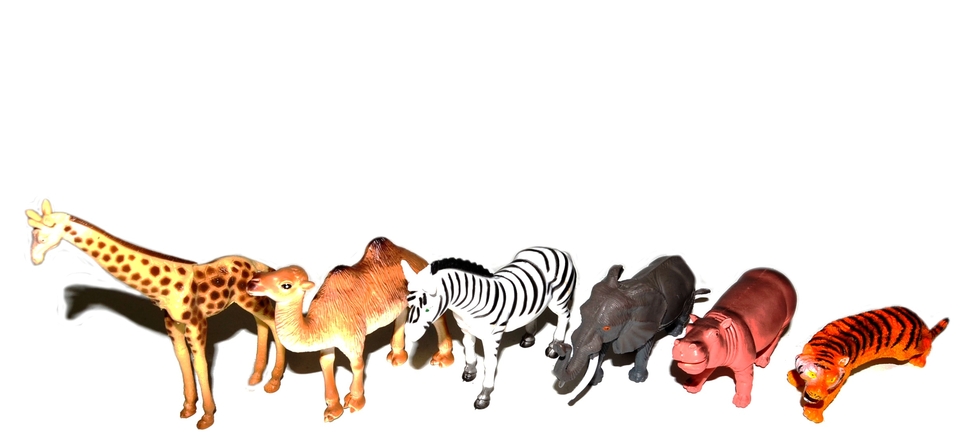 Zvieratká Safari